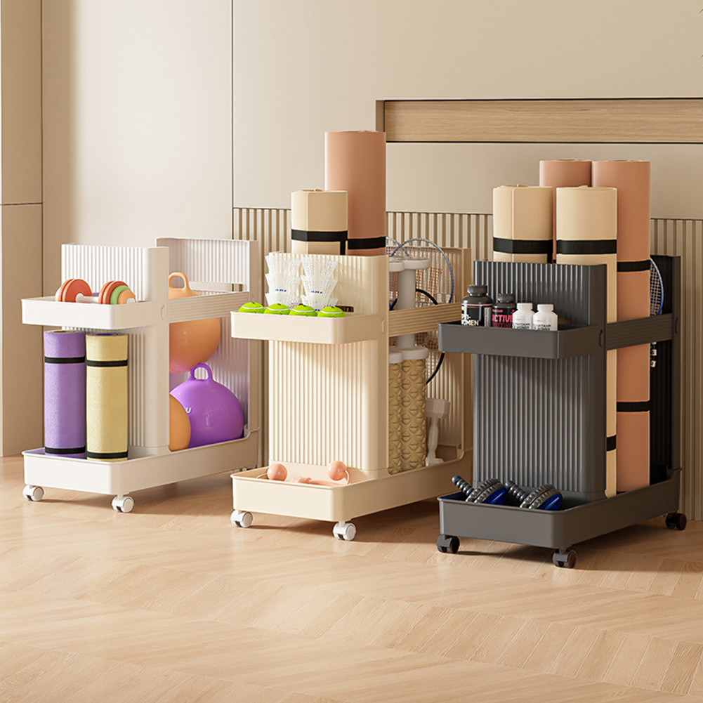 حامل معدات الجيم بعجلات، رف تخ - مراجعة Sports Equipment Organizer Rack وسعره